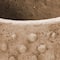 Hello Honey® 7'' Distressed Finish Sandstone Hobnail Planter